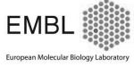 EUROPEAN MOLECULAR BIOLOGY LABORATORY - EMBL