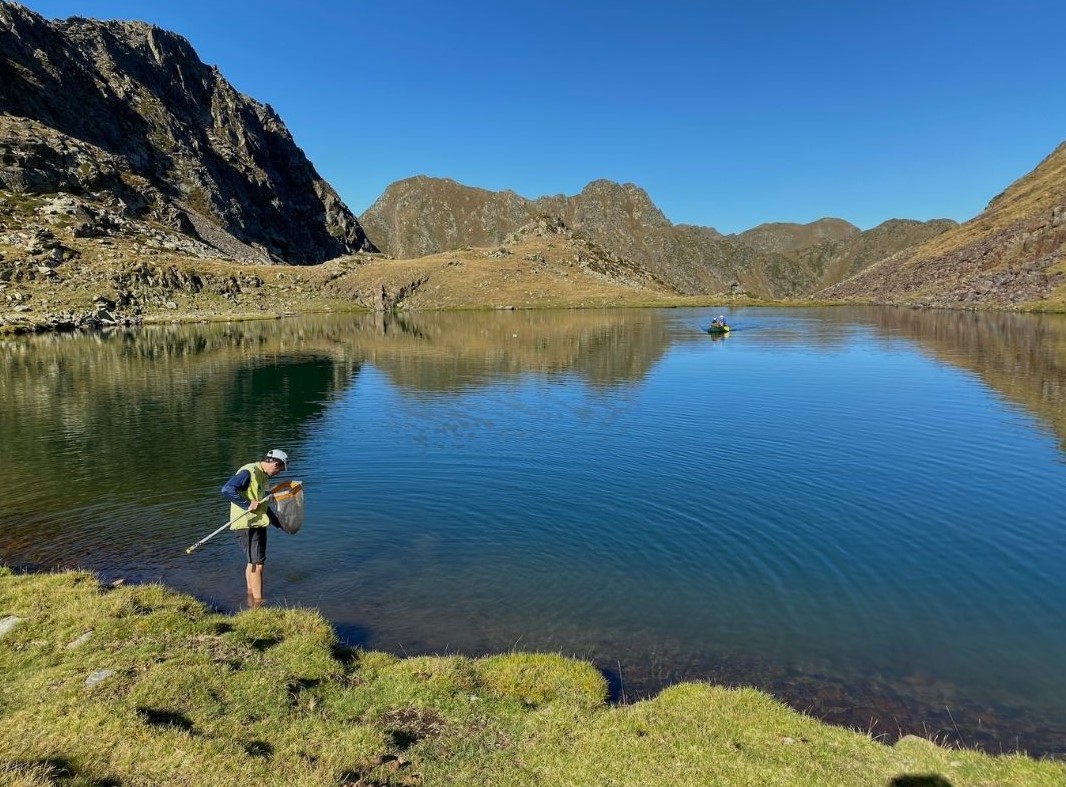 Restauració d’ecosistemes aquàtics de les àrees protegides dels Alps i els Pirineus