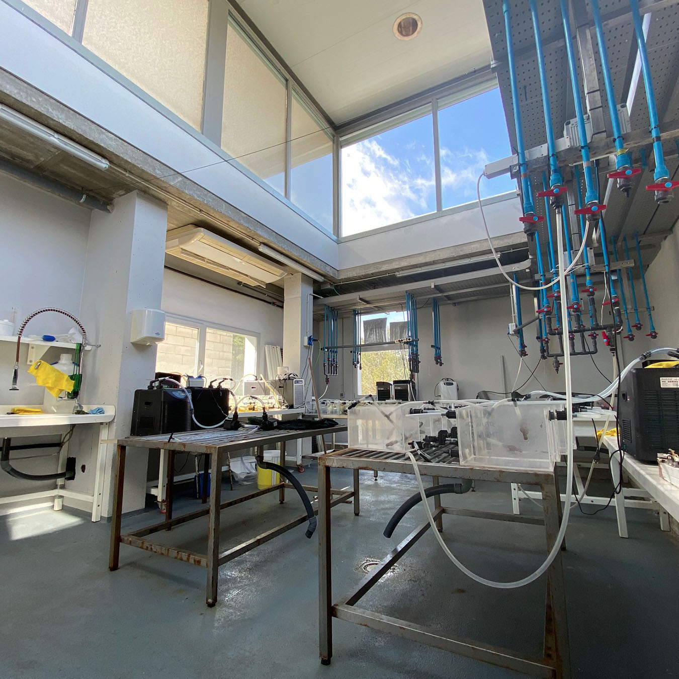 Laboratori d'Experimentació amb Orgaismes Vius (LEOV) 8