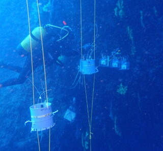 sponge-pump