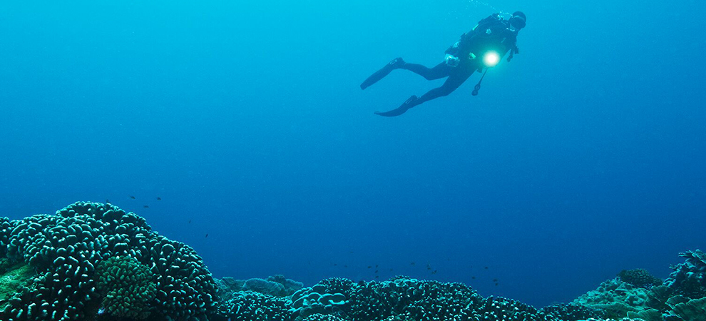 pristine-seas-autoria-nathional-geographic