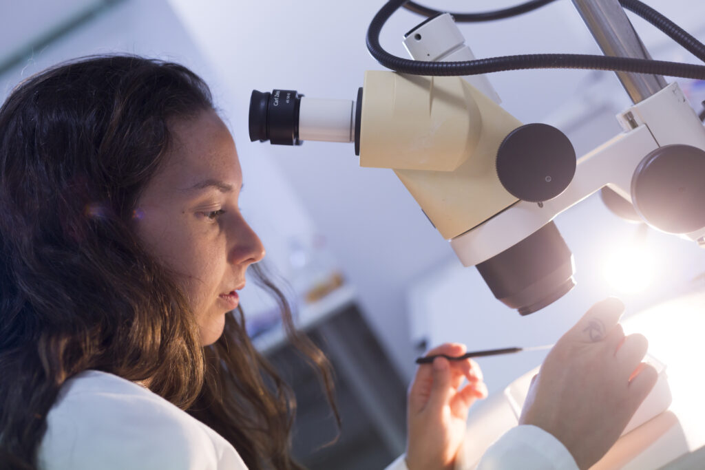 laboratoris-mosquito-alert