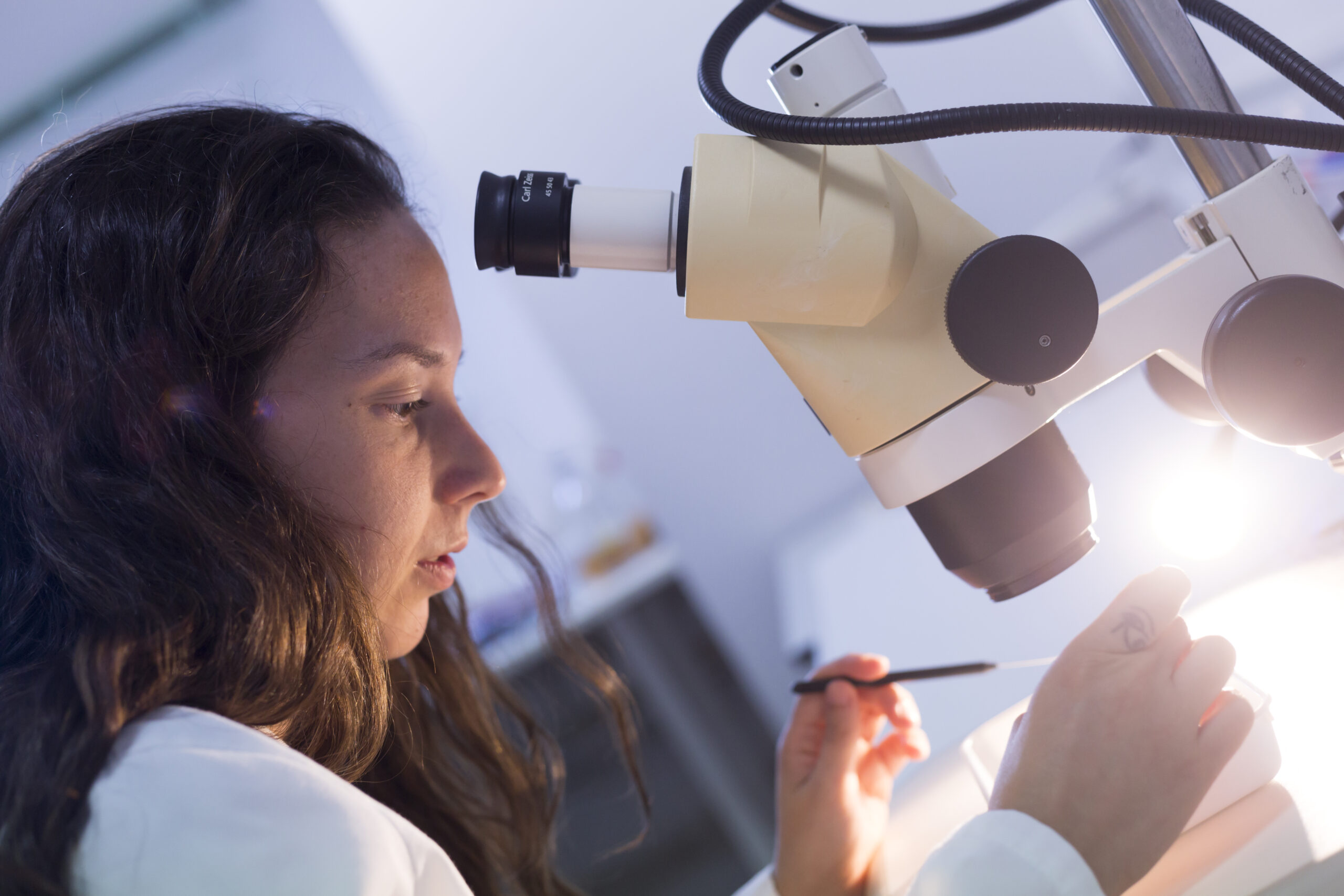 laboratoris-mosquito-alert