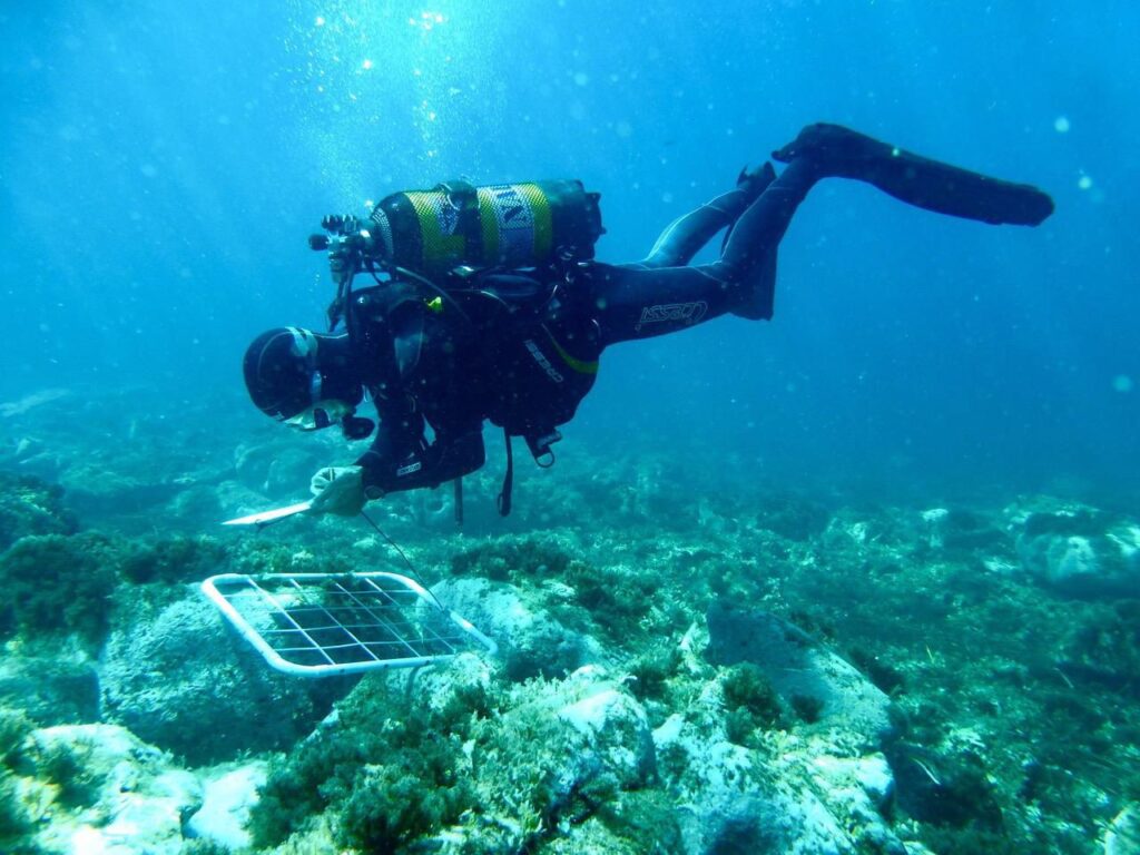 observacio-i-recollida-dades-ecosistemes-marins