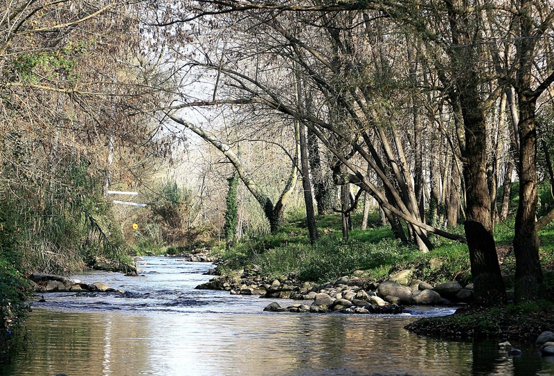 rius-mediterranis-la-tordera