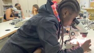treball-laboratori-institut-rocagrossa-plancton-2024