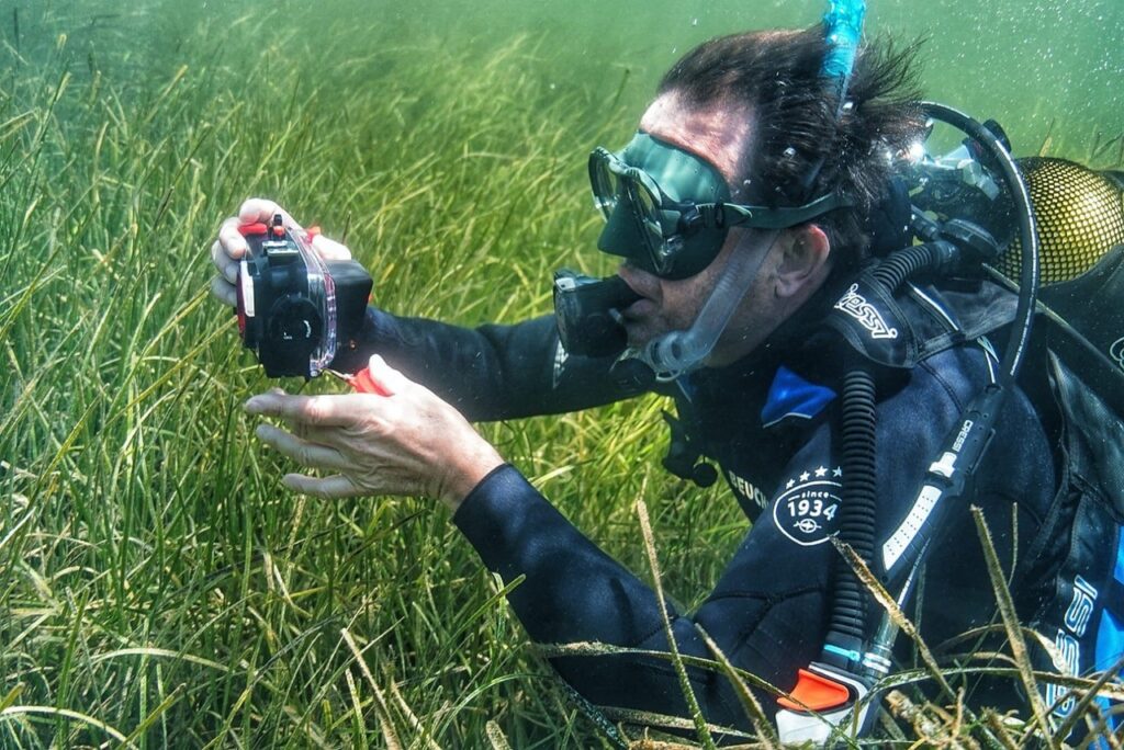 Investigador-CEAB-CSIC-treballant-en-praderia-posidonia