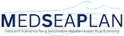 logo medseaplan