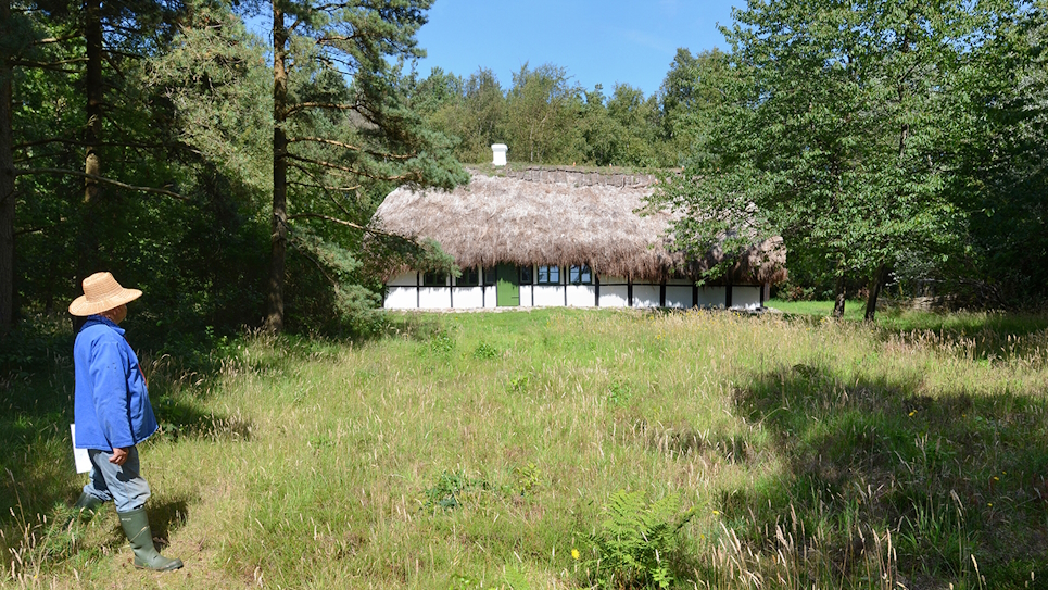 seaweed-roof-houses-in-denmark-author-architectural-seaweed