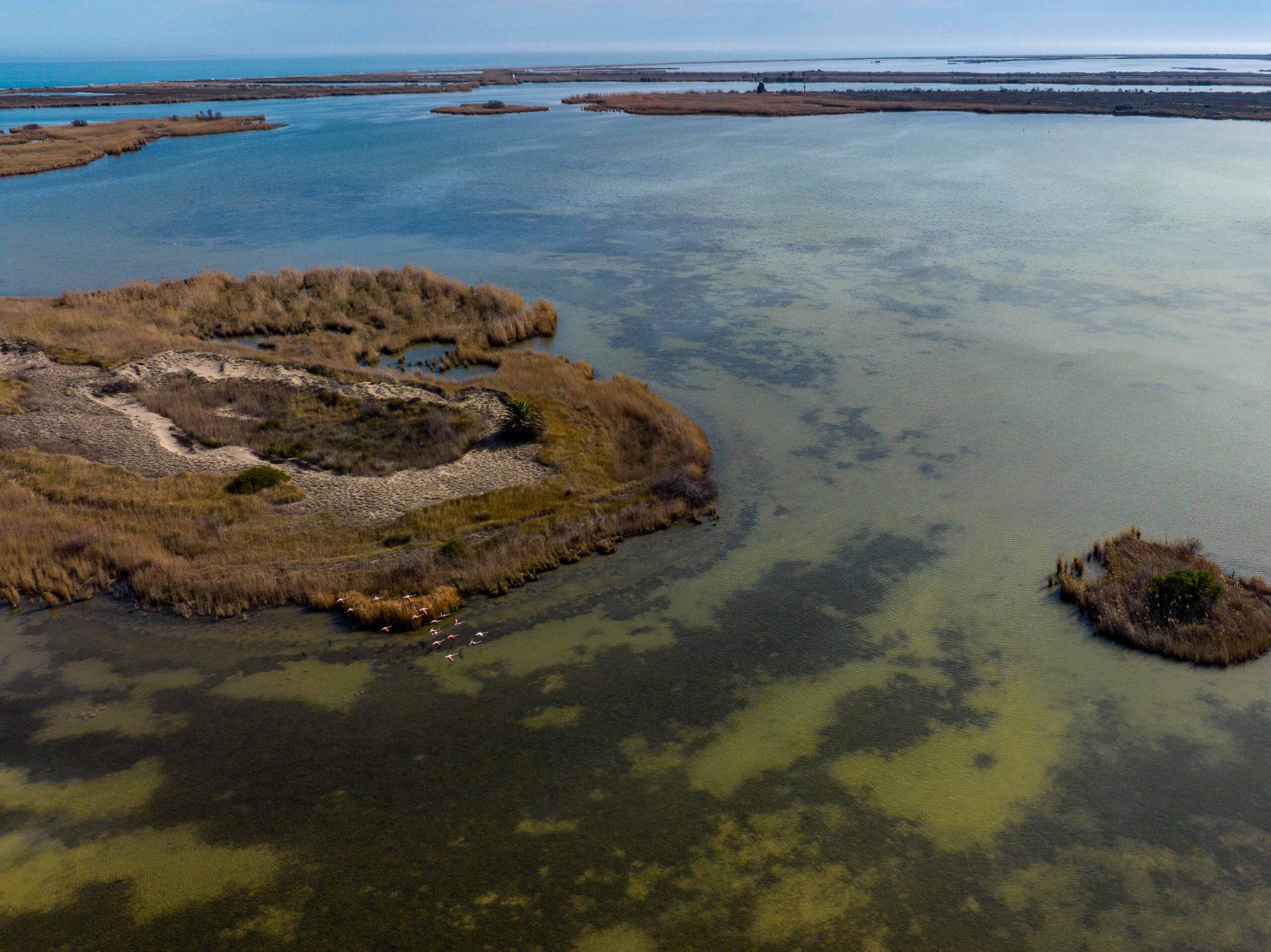 delta_ebre