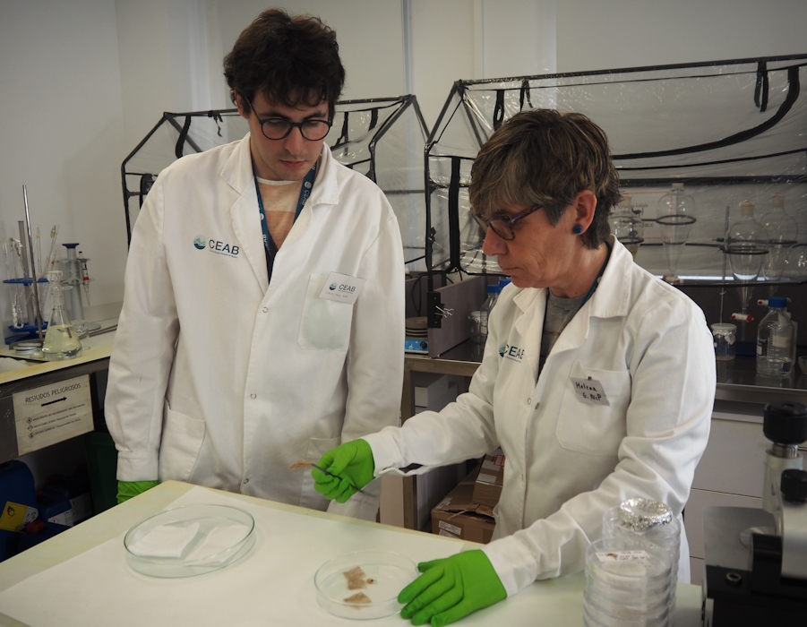 laboratori-microplastics-ceab-csic-I