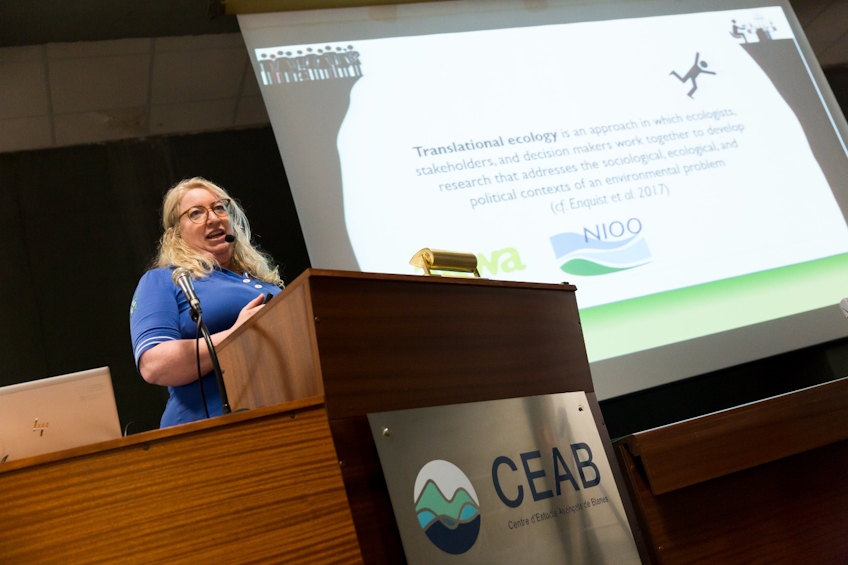 seminari-esac-autoria-e.mora-V