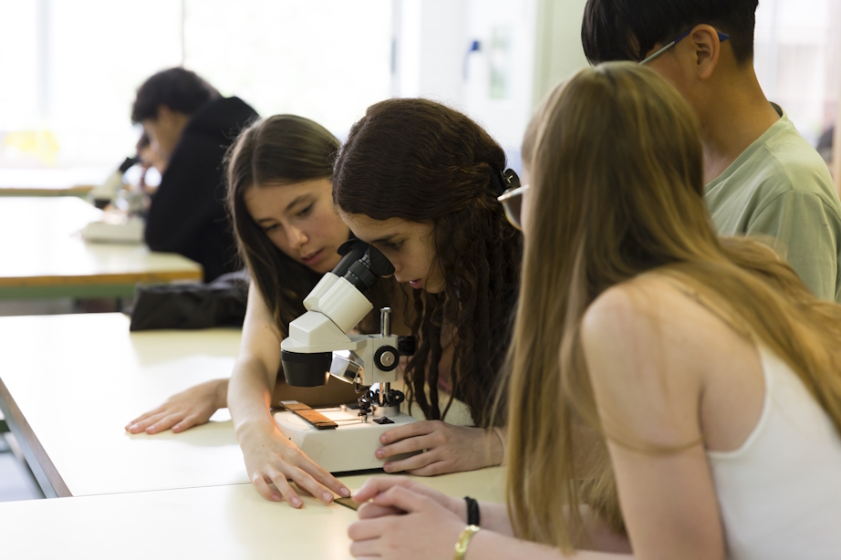 projecte-educatiu-mosquito-alert-escola-barcelona-credits-e.mora-IV