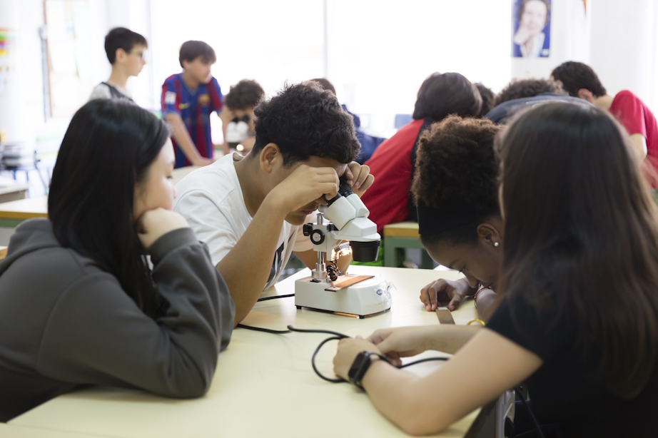 projecte-educatiu-mosquito-alert-escola-barcelona-credits-e.mora-V