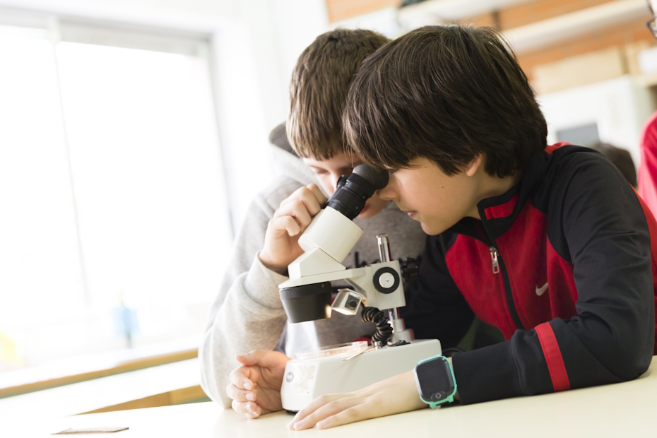 projecte-educatiu-mosquito-alert-escola-barcelona-credits-e.mora-VI