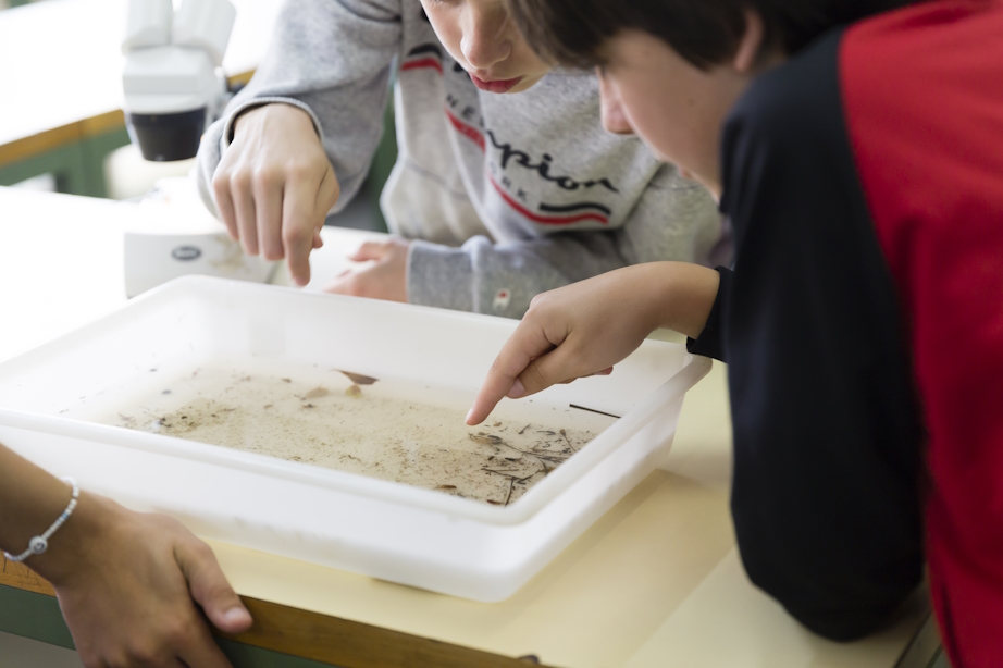 projecte-educatiu-mosquito-alert-escola-barcelona-credits-e.mora-VII