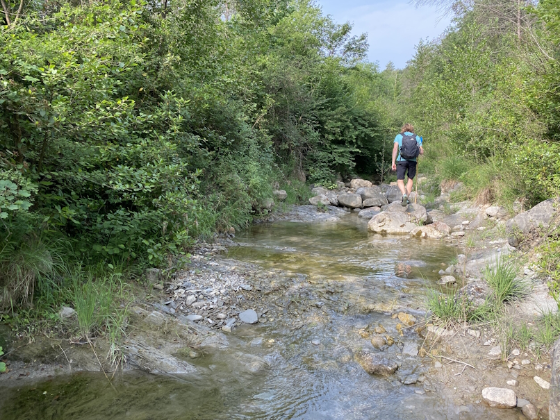 jolle-jolles-garrotxa-III