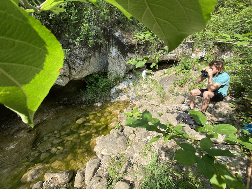 jolle-jolles-garrotxa-IV