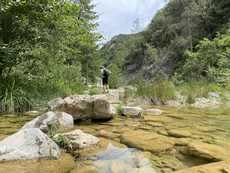 jolle-jolles-garrotxa-IX
