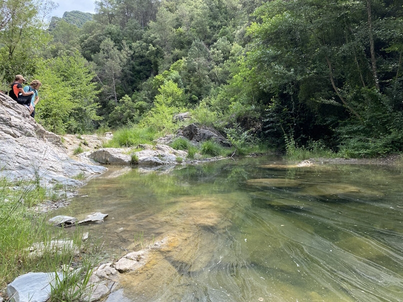 jolle-jolles-garrotxa-VII